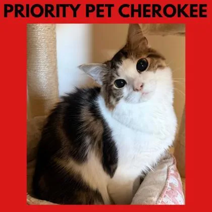 Cherokee  `a Priority