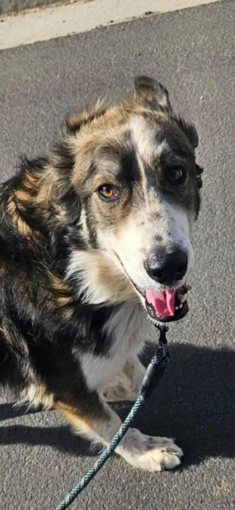 Benjamin thumbnail 2