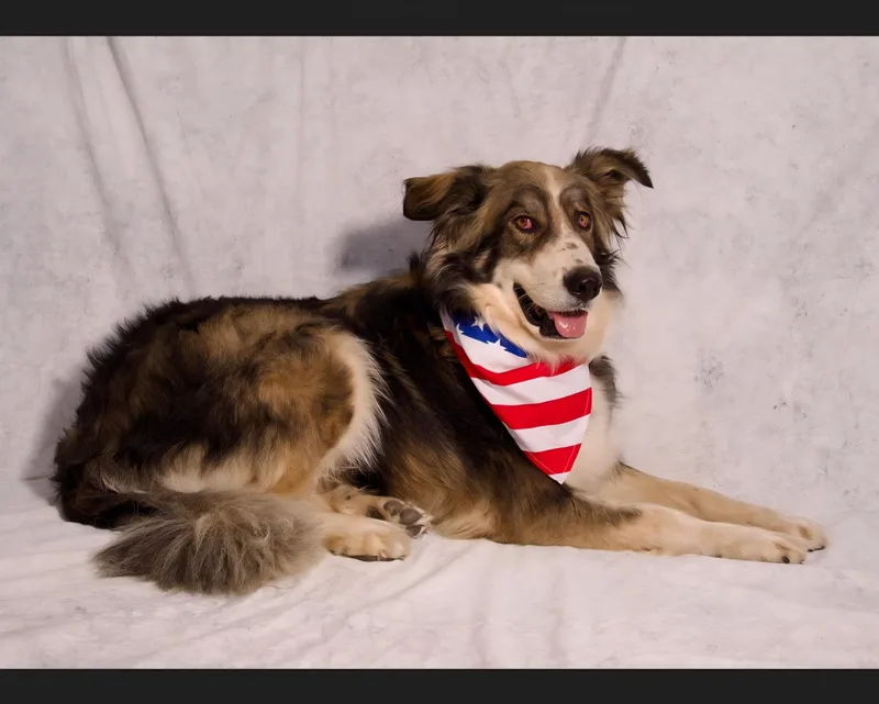 Benjamin thumbnail 4