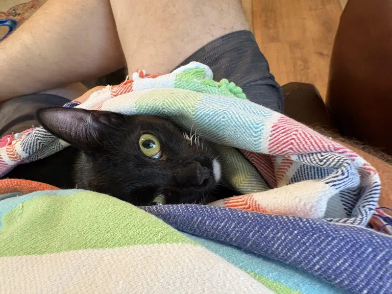 Chipotle thumbnail 2