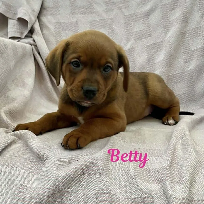 Betty thumbnail 4