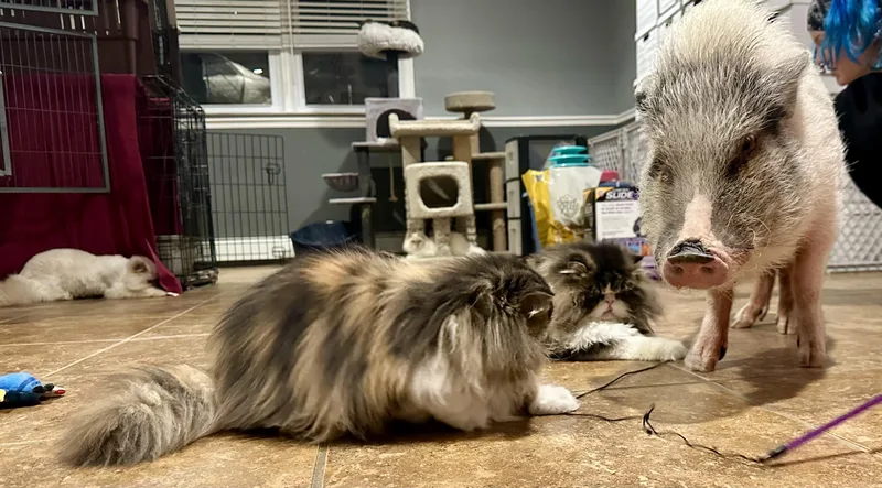 Bablo & Bessa!!!! thumbnail 2