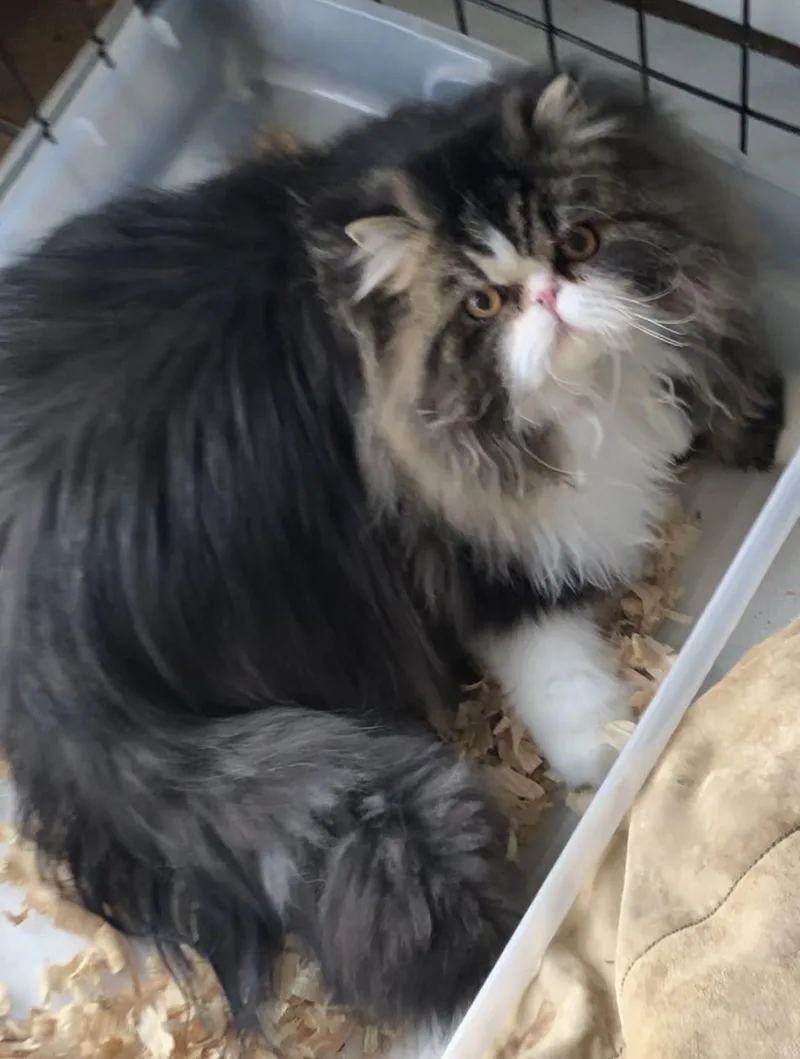 Bablo & Bessa!!!! thumbnail 4