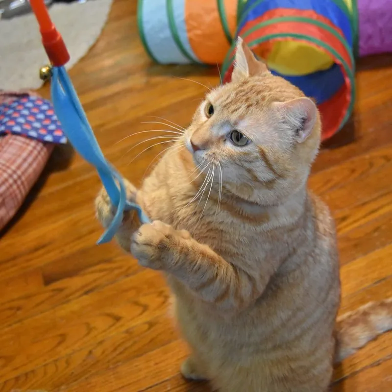 Bing Bong thumbnail 2