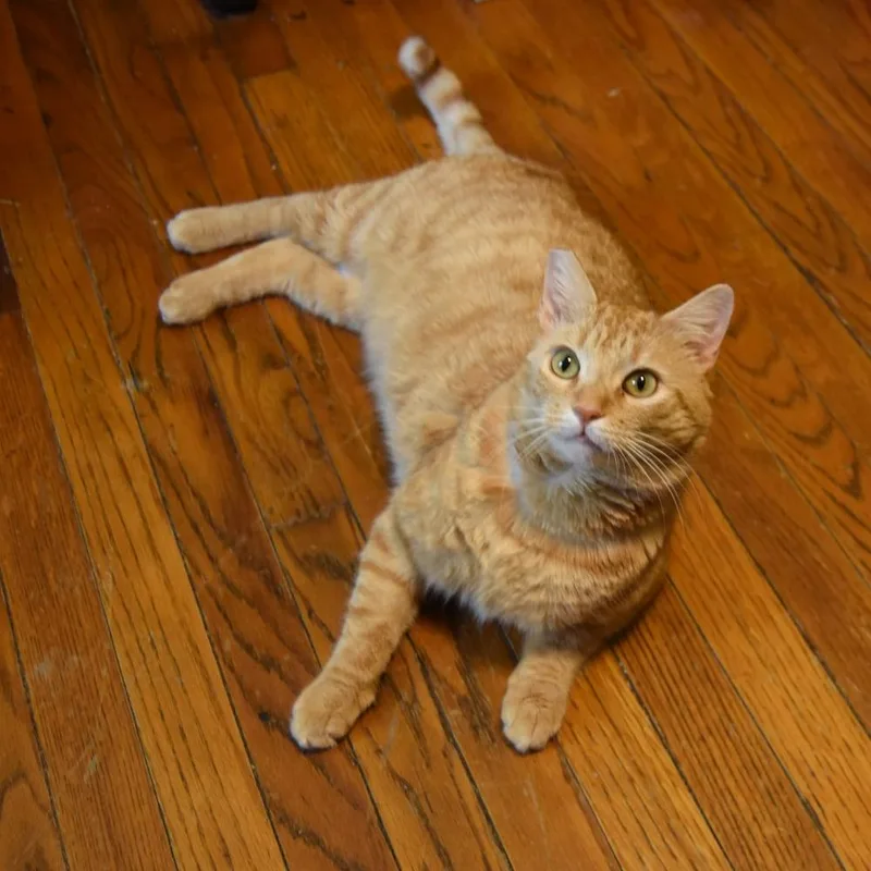 Bing Bong thumbnail 6