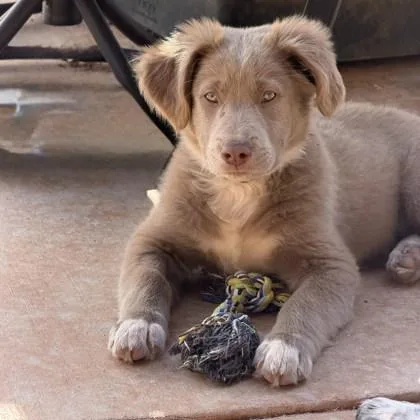 Princess thumbnail 2