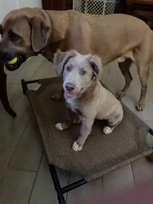 Princess thumbnail 3