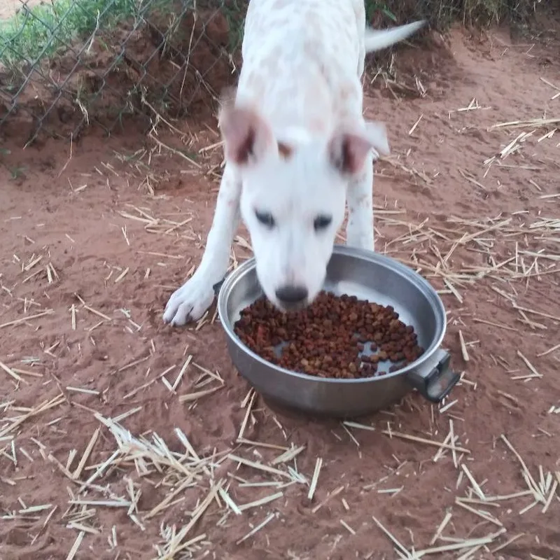 Christmas thumbnail 2