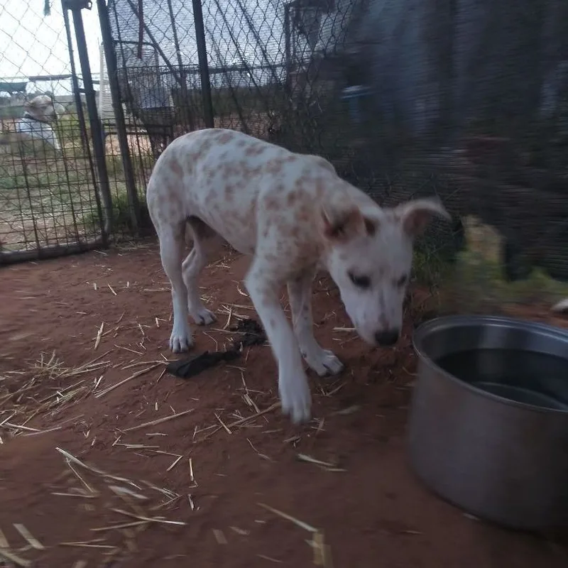 Christmas thumbnail 3