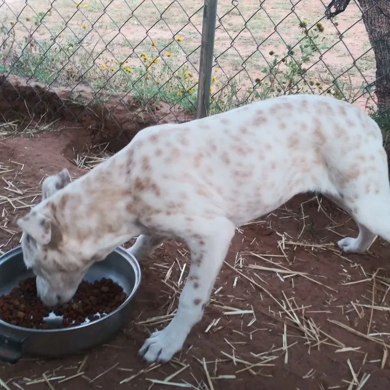 Christmas thumbnail 4