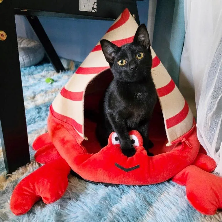 Dana Barrett thumbnail 2