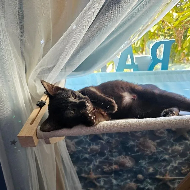 Dana Barrett thumbnail 3