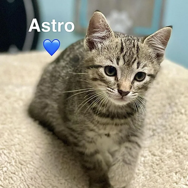 Astro thumbnail 3