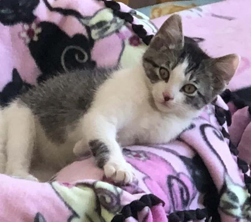 Remie & Family thumbnail 2