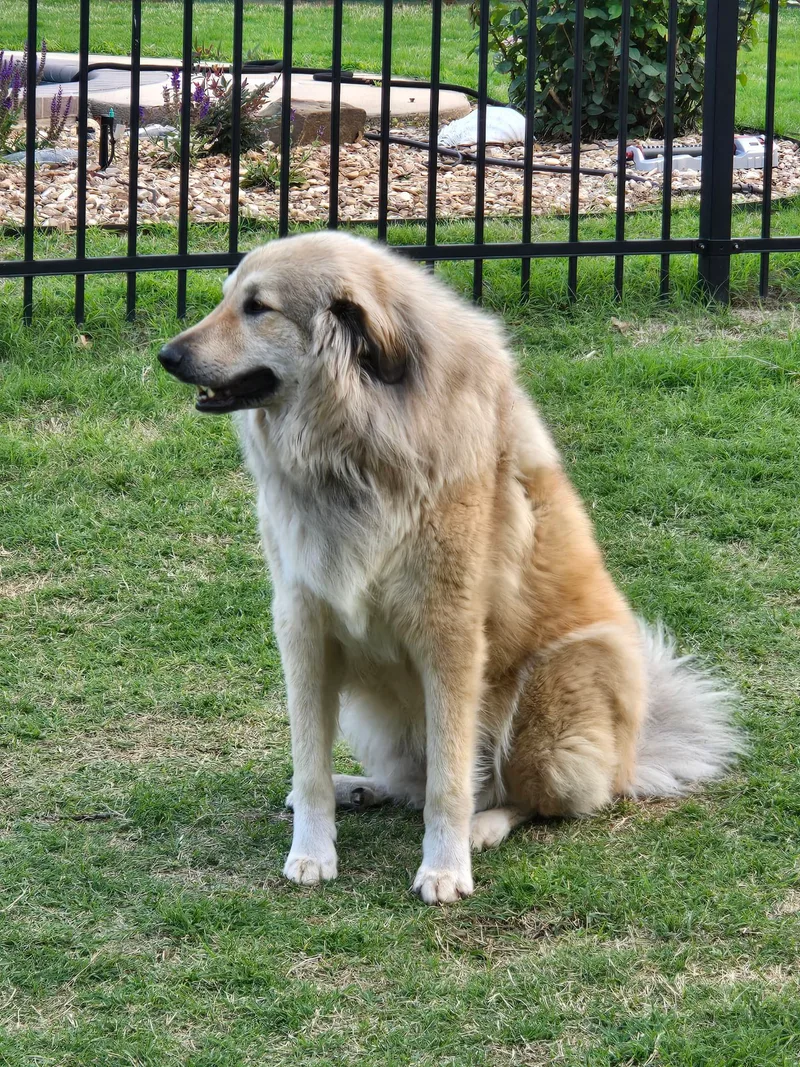 Baileymedical Hold thumbnail 2