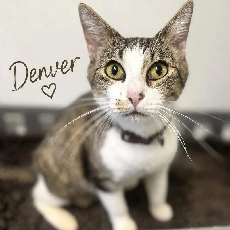 Denver