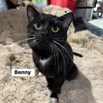 Benny