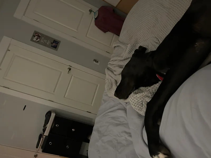 Espresso Martini thumbnail 4