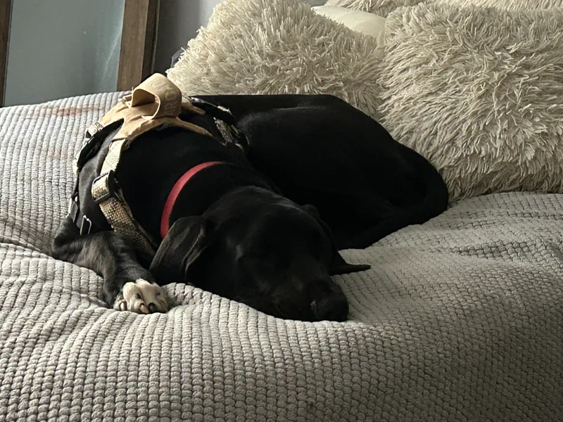 Espresso Martini thumbnail 5