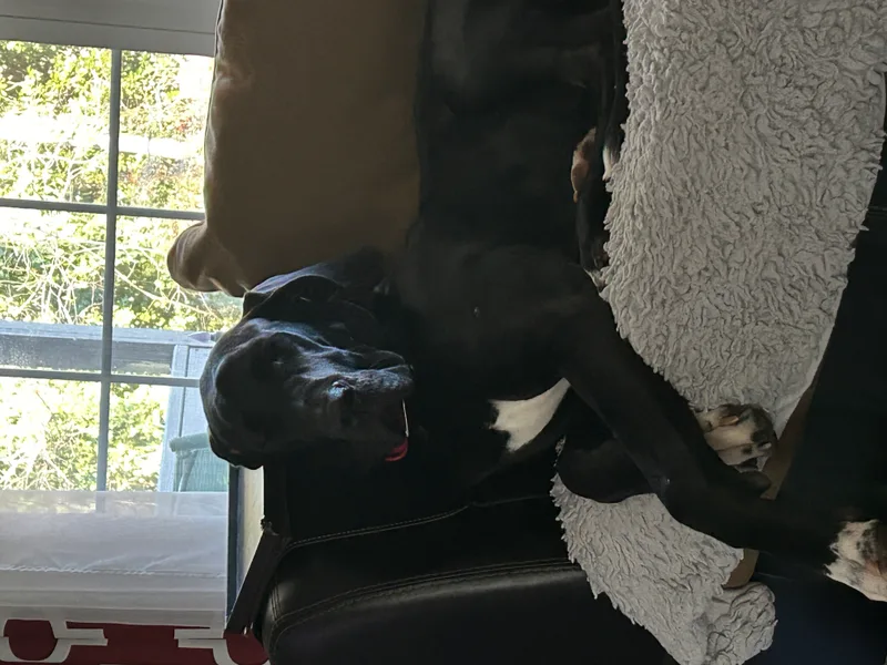 Espresso Martini thumbnail 3