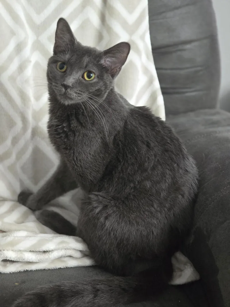 Baby Boy thumbnail 2