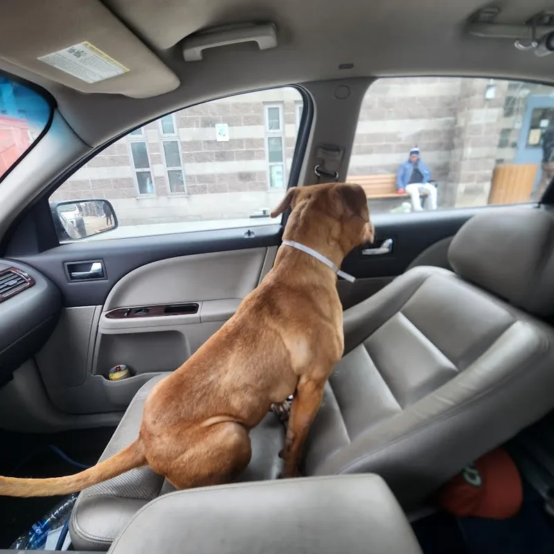 Marco Polo thumbnail 4