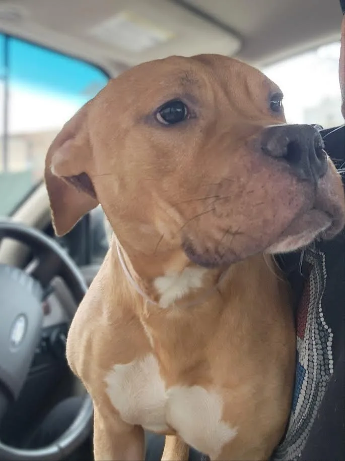 Marco Polo thumbnail 2