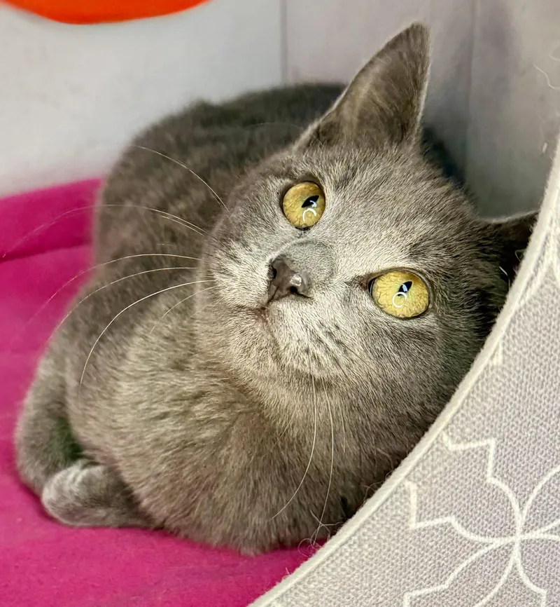 Honeymaren Playful And