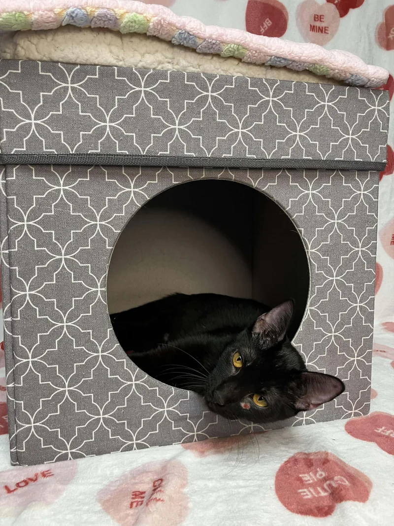 Caterina  Sweet And thumbnail 2