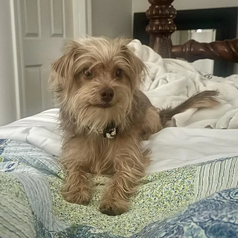Luna