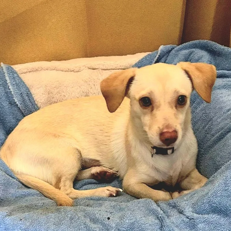 Mica "the Beach Baby thumbnail 2