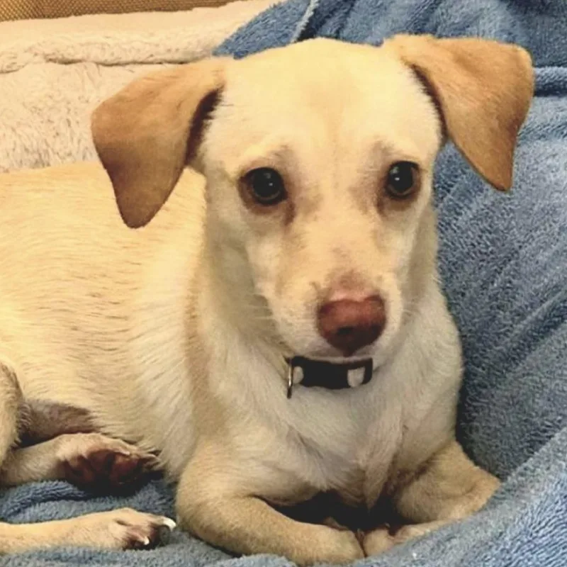 Mica "the Beach Baby