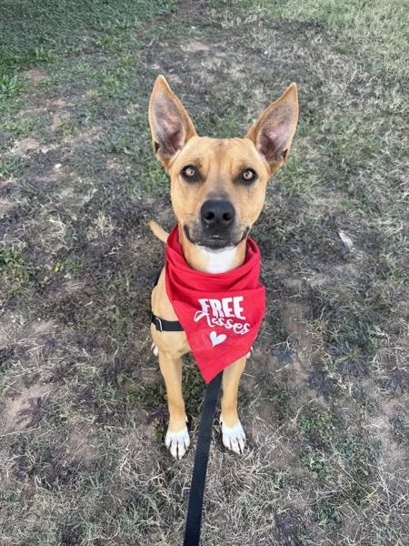 Baby Girl thumbnail 2