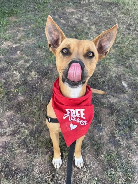 Baby Girl thumbnail 3