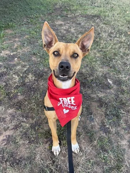 Baby Girl thumbnail 4