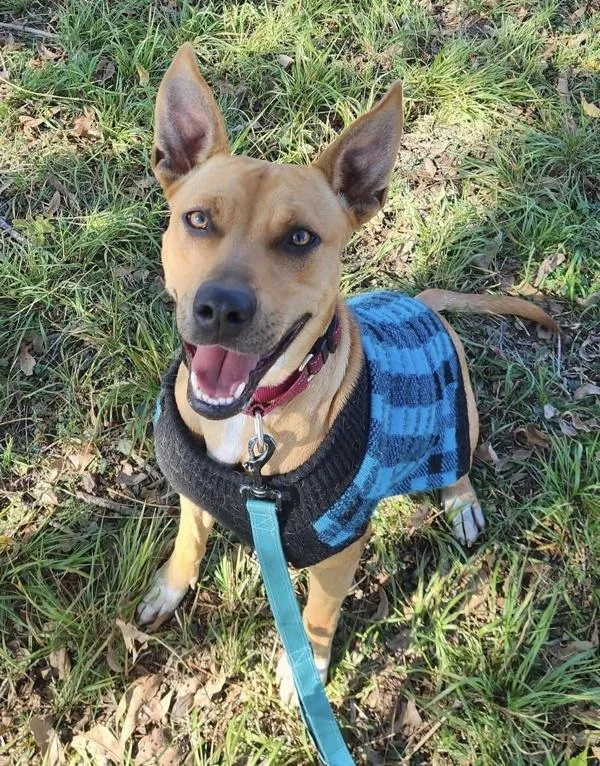 Baby Girl thumbnail 5