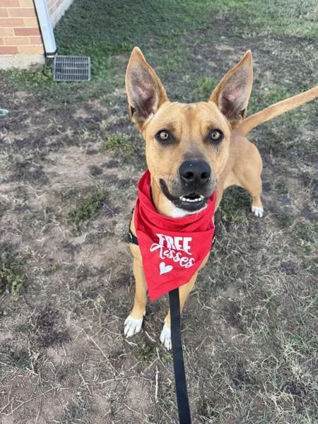 Baby Girl thumbnail 6