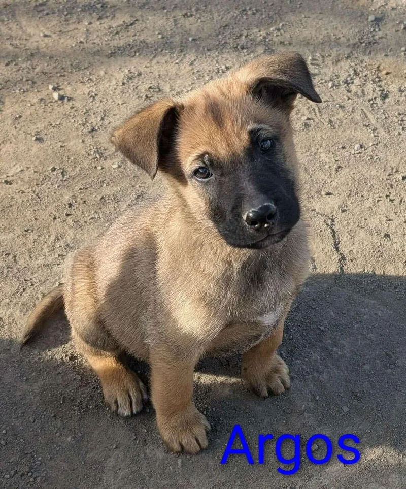 Argos thumbnail 2