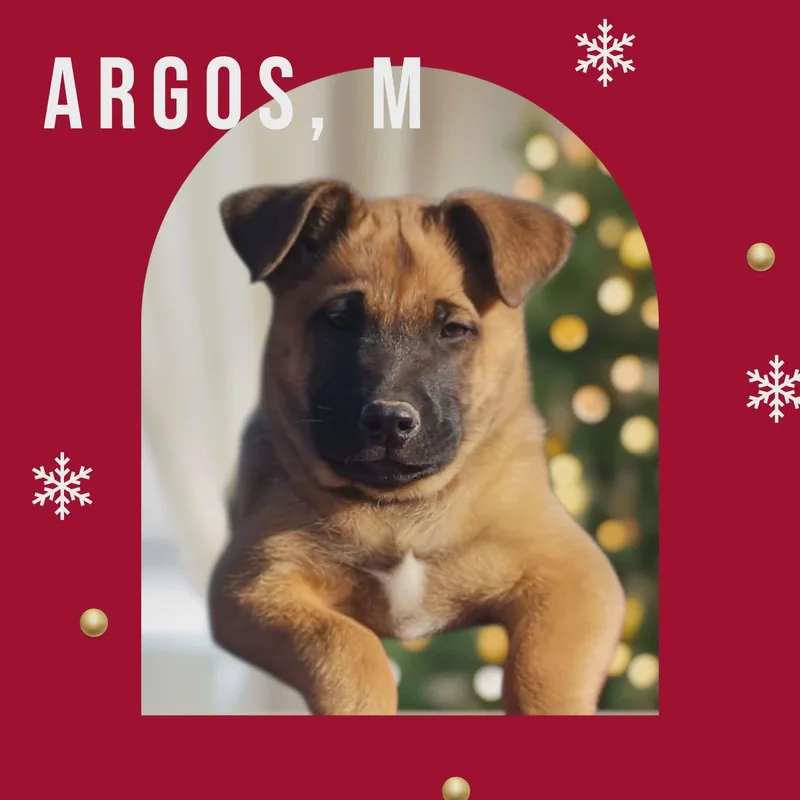 Argos thumbnail 3