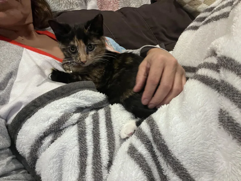 Cover Girl thumbnail 3