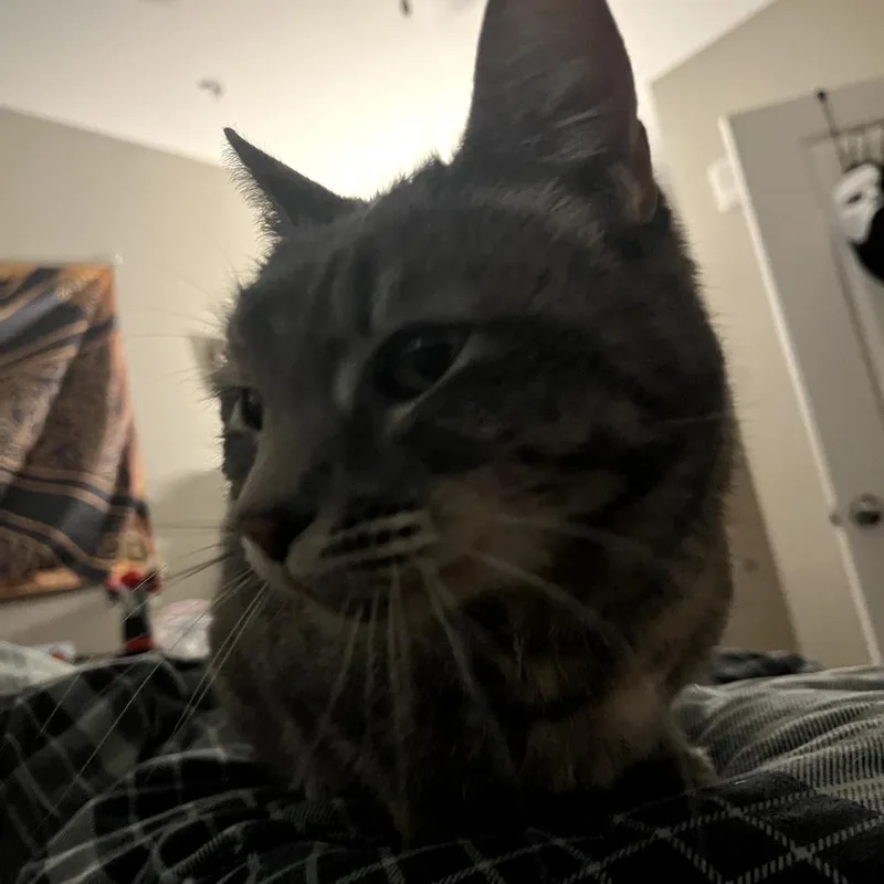 Taizy Mae thumbnail 2