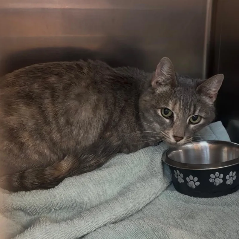 Taizy Mae thumbnail 5