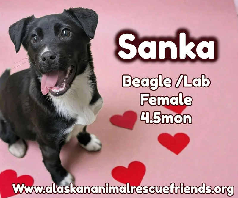 Sanka