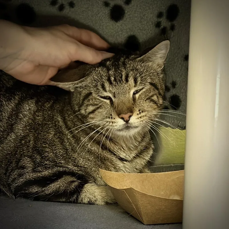 Cali Micah thumbnail 2