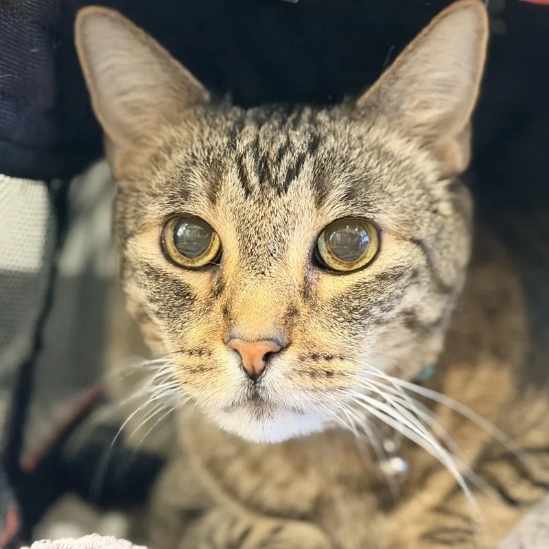 Cali Micah thumbnail 3