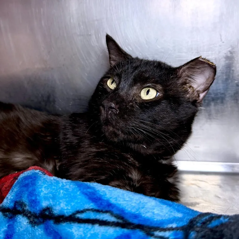 Edgar Eduardo thumbnail 2