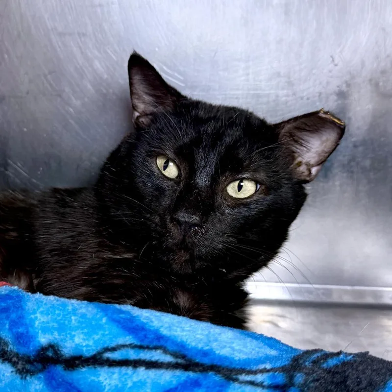 Edgar Eduardo thumbnail 3