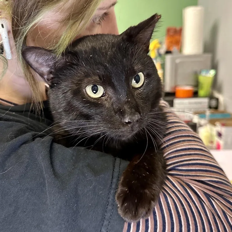 Edgar Eduardo thumbnail 4