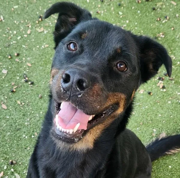 Twilight thumbnail 2