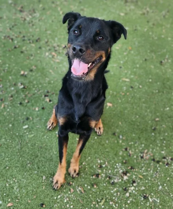 Twilight thumbnail 3